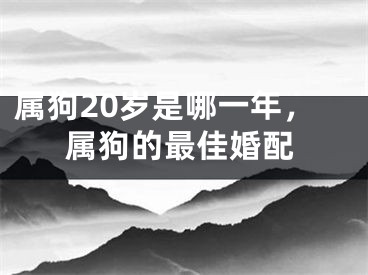 属狗20岁是哪一年，属狗的最佳婚配
