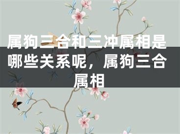 属狗三合和三冲属相是哪些关系呢，属狗三合属相