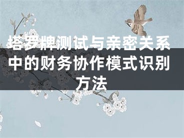 塔罗牌测试与亲密关系中的财务协作模式识别方法