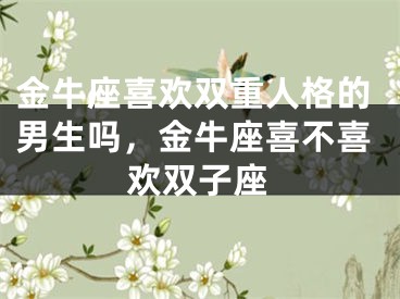金牛座喜欢双重人格的男生吗，金牛座喜不喜欢双子座