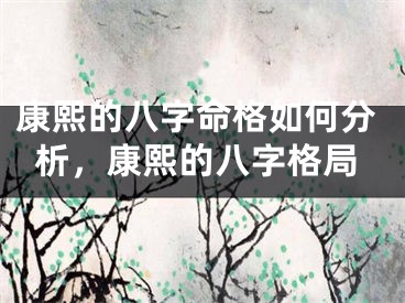 康熙的八字命格如何分析，康熙的八字格局