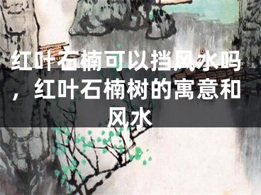 红叶石楠可以挡风水吗,红叶石楠树的寓意和风水