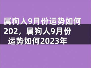 属狗人9月份运势如何202,属狗人9月份运势如何2023年