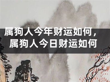 属狗人今年财运如何，属狗人今日财运如何