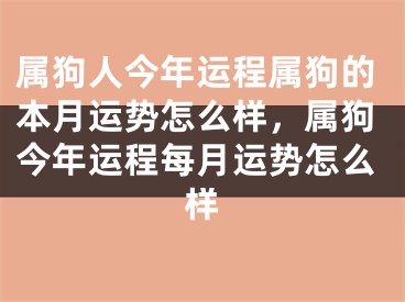 属狗人今年运程属狗的本月运势怎么样，属狗今年运程每月运势怎么样