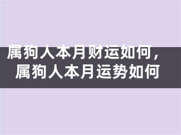 属狗人本月财运如何，属狗人本月运势如何