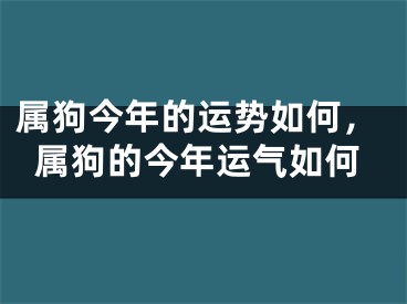 属狗今年的运势如何，属狗的今年运气如何