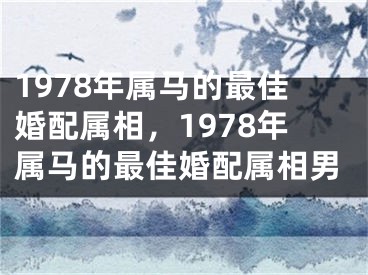 1978年属马的最佳婚配属相，1978年属马的最佳婚配属相男