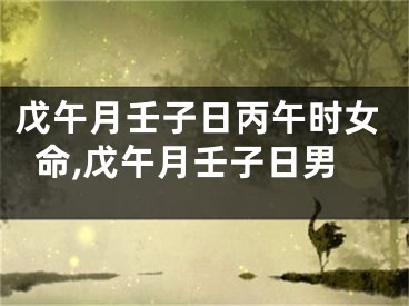 戊午月壬子日丙午时女命,戊午月壬子日男