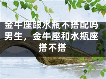 金牛座跟水瓶不搭配吗男生，金牛座和水瓶座搭不搭