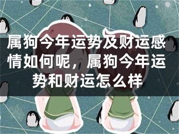 属狗今年运势及财运感情如何呢，属狗今年运势和财运怎么样