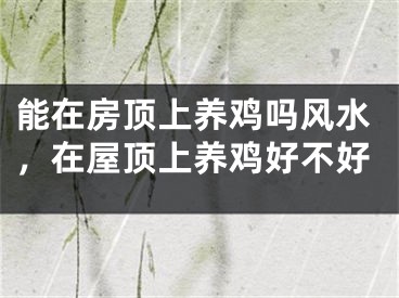 能在房顶上养鸡吗风水,在屋顶上养鸡好不好