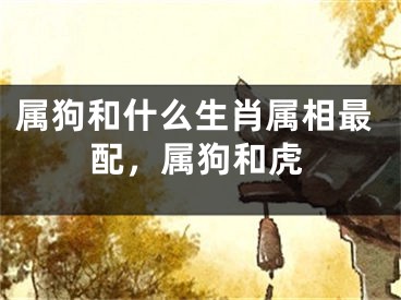 属狗和什么生肖属相最配，属狗和虎