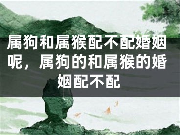 属狗和属猴配不配婚姻呢，属狗的和属猴的婚姻配不配