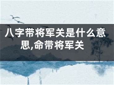八字带将军关是什么意思,命带将军关