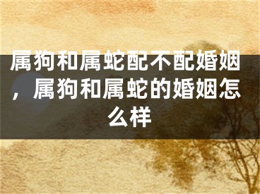 属狗和属蛇配不配婚姻，属狗和属蛇的婚姻怎么样