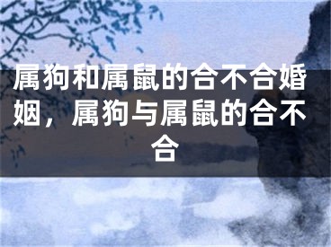 属狗和属鼠的合不合婚姻，属狗与属鼠的合不合