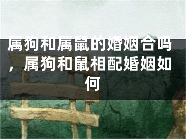 属狗和属鼠的婚姻合吗，属狗和鼠相配婚姻如何
