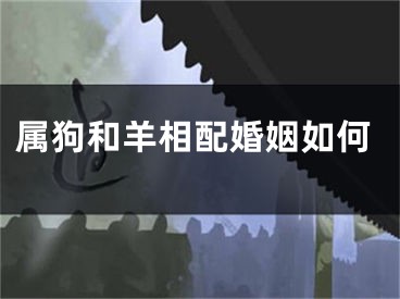 属狗和羊相配婚姻如何