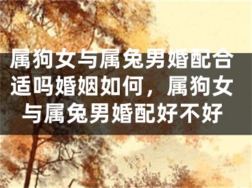 属狗女与属兔男婚配合适吗婚姻如何，属狗女与属兔男婚配好不好