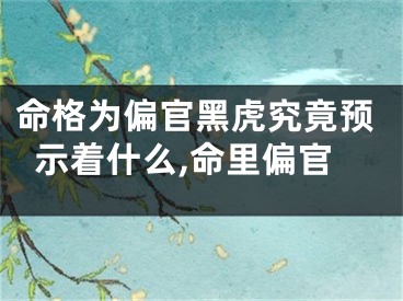 命格为偏官黑虎究竟预示着什么,命里偏官