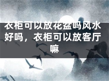 衣柜可以放花盆吗风水好吗，衣柜可以放客厅嘛