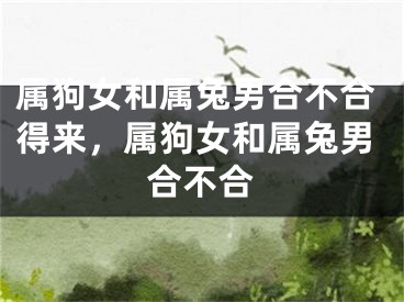 属狗女和属兔男合不合得来，属狗女和属兔男合不合