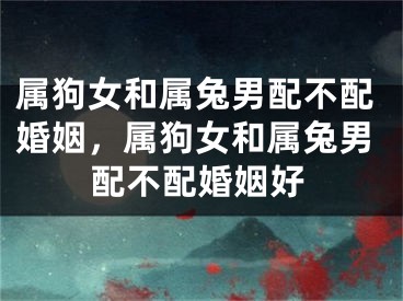 属狗女和属兔男配不配婚姻，属狗女和属兔男配不配婚姻好