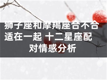 狮子座和摩羯座合不合适在一起 十二星座配对情感分析