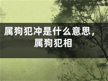 属狗犯冲是什么意思，属狗犯相