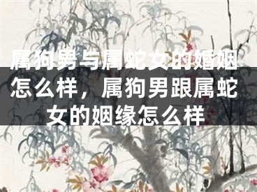 属狗男与属蛇女的婚姻怎么样，属狗男跟属蛇女的姻缘怎么样