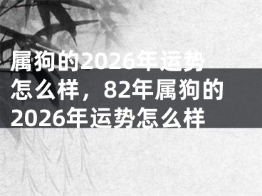属狗的2026年运势怎么样，82年属狗的2026年运势怎么样