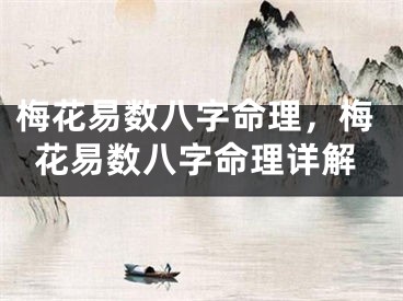 梅花易数八字命理，梅花易数八字命理详解