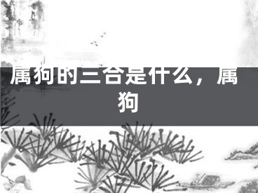 属狗的三合是什么，属狗