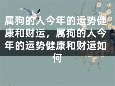 属狗的人今年的运势健康和财运，属狗的人今年的运势健康和财运如何