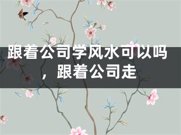 跟着公司学风水可以吗，跟着公司走
