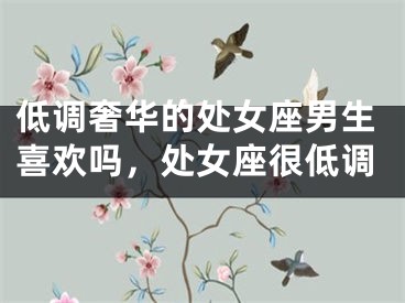低调奢华的处女座男生喜欢吗，处女座很低调