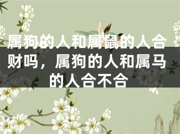 属狗的人和属鼠的人合财吗，属狗的人和属马的人合不合