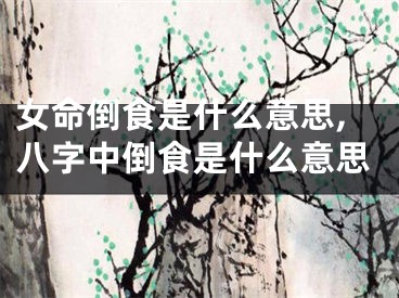 女命倒食是什么意思,八字中倒食是什么意思