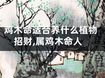 鸡木命适合养什么植物招财,属鸡木命人
