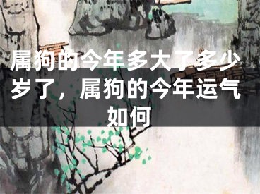 属狗的今年多大了多少岁了，属狗的今年运气如何