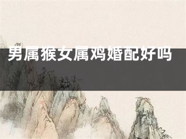 男属猴女属鸡婚配好吗 