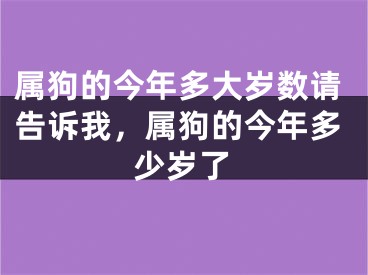 属狗的今年多大岁数请告诉我，属狗的今年多少岁了