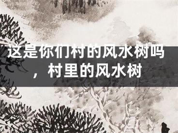 这是你们村的风水树吗，村里的风水树