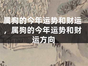 属狗的今年运势和财运，属狗的今年运势和财运方向