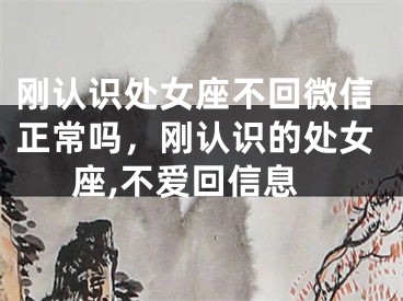 刚认识处女座不回微信正常吗,刚认识的处女座,不爱回信息