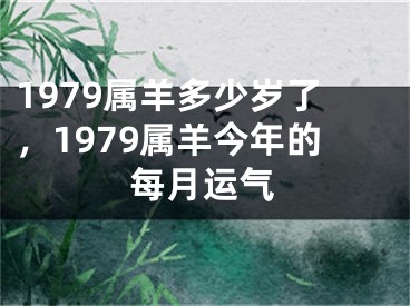 1979属羊多少岁了，1979属羊今年的每月运气