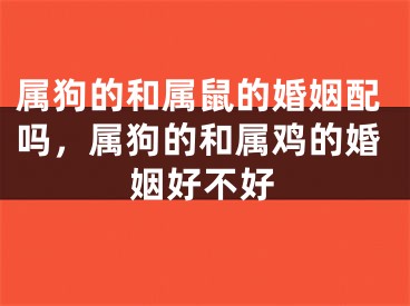 属狗的和属鼠的婚姻配吗，属狗的和属鸡的婚姻好不好