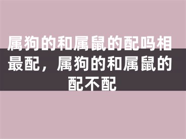 属狗的和属鼠的配吗相最配，属狗的和属鼠的配不配