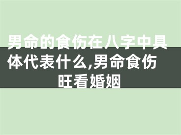 男命的食伤在八字中具体代表什么,男命食伤旺看婚姻